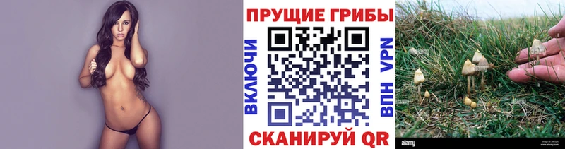 Галлюциногенные грибы мухоморы  Ессентукская 